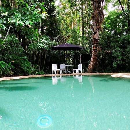 Travellers Paradise Кернс Екстериор снимка The swimming pool at the Rainforest Ecolodge