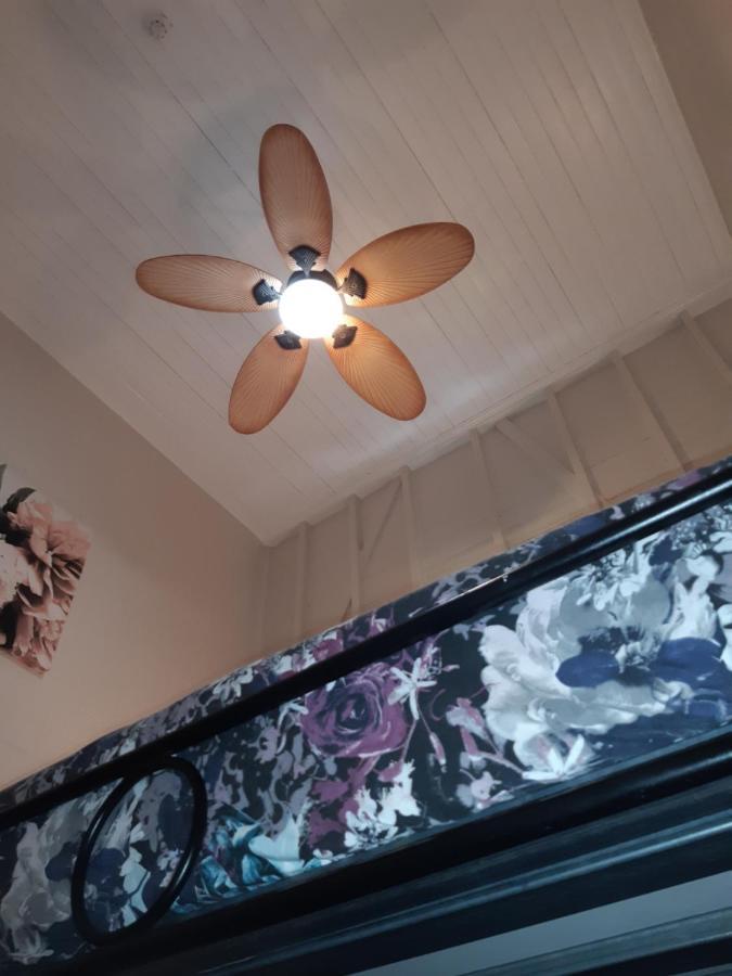 Travellers Paradise Кернс Екстериор снимка A ceiling fan with a light kit